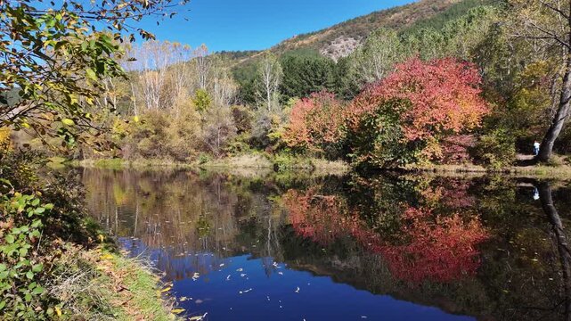 Autumn Landscape near Lake Pancharevo, Sofia city Region, Bulgaria