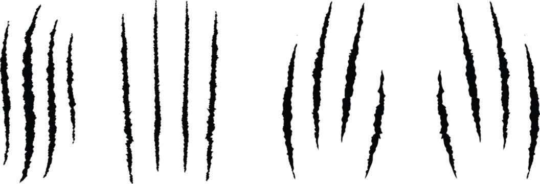 Black claw scratches on a white background animal damage texture and rough markings