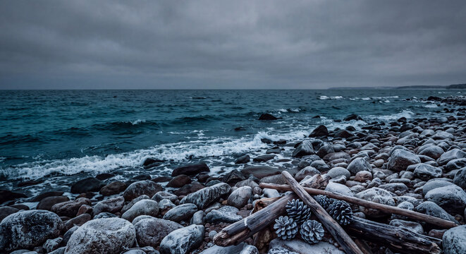 A dark rocky beach shoreline with tangled driftwood logs stretches beside rolling ocean waves under a dramatic overcast winter sky.