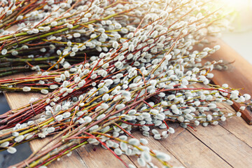 Bunches pussy willow catkins buds on wooden surface table at outdoors farmers countryside market Europe. Springtime nature Easter symbol plant tree © Kyryl Gorlov
