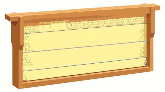 A Detailed Vector Illustration of a Langstroth Beehive Frame with Honeycomb Foundation and Support Wires for Professional Beekeeping and Apiary Equipment