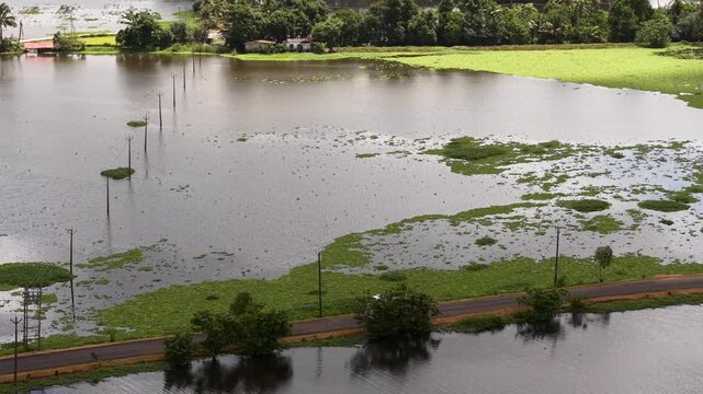 Aerial View of Veliyanad Road and Kerala Backwaters Alappuzha Kerala India