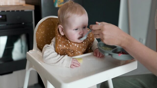 A close-up shot of a sweet caucasian infant wearing a brown bib and sitting in a high chair during mealtime. Parent's hand holding a spoon to feed the cute toddler with healthy porridge or solid food