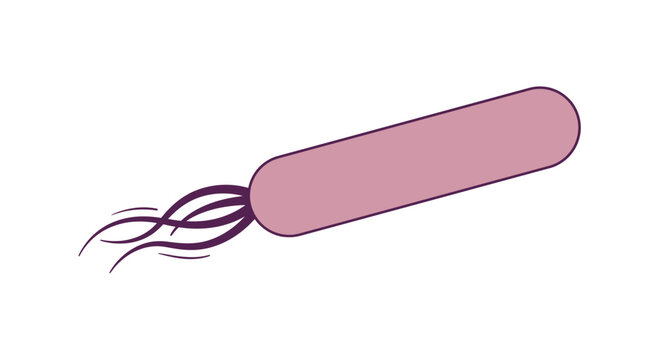 Rod shaped bacterium with multiple flagella isolated on transparent background scientific illustration