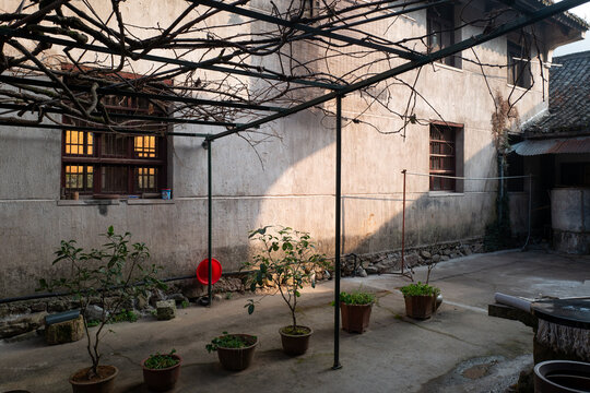 Serene Courtyard Sunlight Guoqing Temple Tiantai Zhejiang Potted Plants Zen Atmosphere
