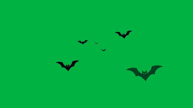 Flying bats silhouette animation on green screen background with realistic wing flapping and smooth looping motion. Ideal for Halloween, spooky overlays, chroma key compositing, and video effects.