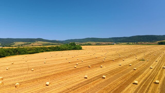 Rows of straw bales on a harvested Slovak field. Round bundles dot parallel stubble lines beneath a blue sky, with trees and hills along the horizon.