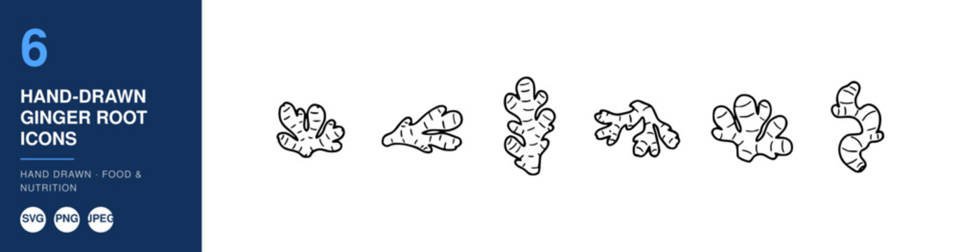 Ginger Root Icons, Hand-Drawn Style Illustrations for Food and Nutrition Concepts