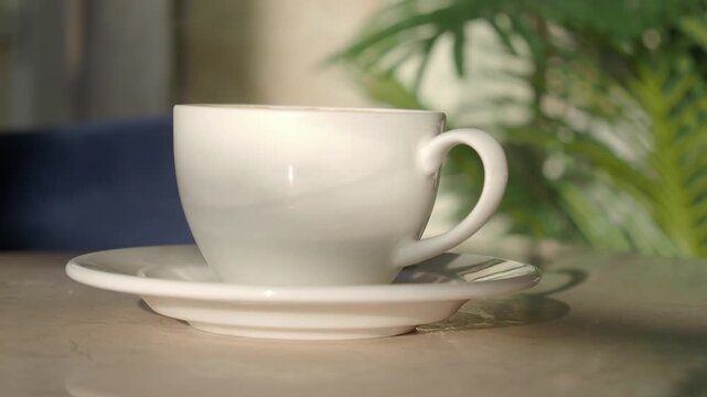 Warm cup of coffee on saucer with green plant in background and natural light.