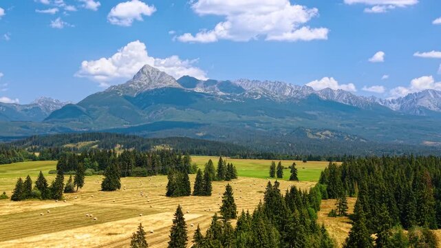 Rocky mountain peaks above meadows and conifers in Slovakia. Yellow fields and scattered trees extend toward forested slopes beneath white clouds.