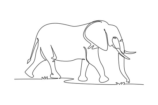 Single continuous line drawing wild elephant animal walking gracefully in nature, endangered species conservation, jungle biodiversity, safari fauna. One line draw graphic design vector illustration