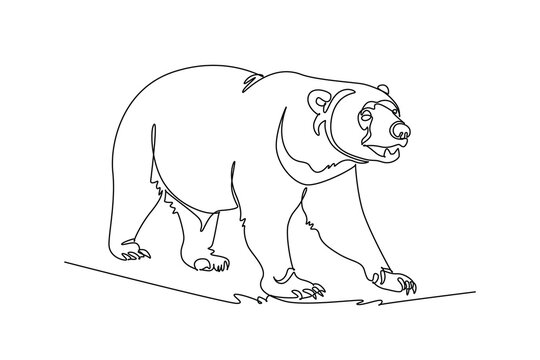 Single continuous line drawing wild bear animal walking forward in nature. Powerful predator wildlife, biodiversity, and outdoor wilderness protection. One line draw graphic design vector illustration