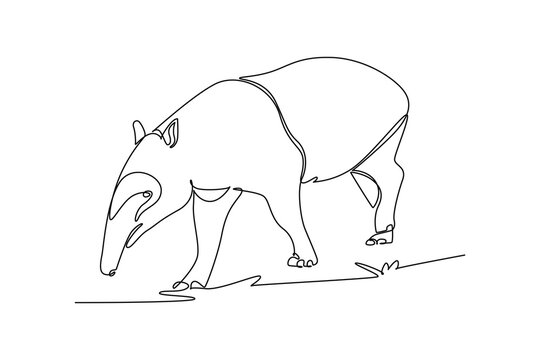 Single one line drawing animal tapir walking and foraging the ground. Endangered species conservation, biodiversity protection, jungle nature. Continuous line draw design graphic vector illustration