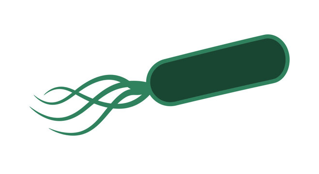 Isolated green rod shaped bacterium with flagella scientific illustration transparent background