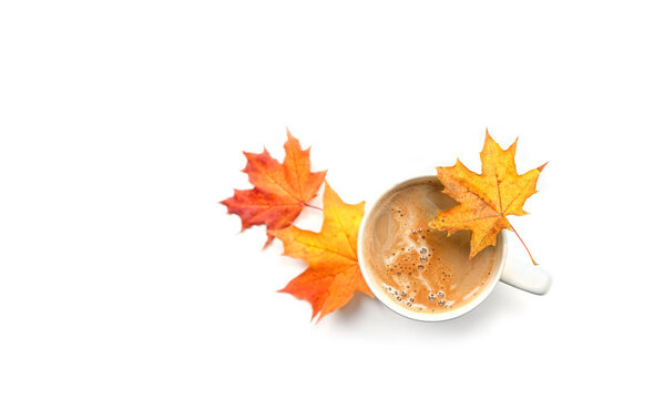 Cup of coffee and fallen bright autumnal maple leaves isolated on abstract white background. symbol of fall season, autumn time. minimal style composition. flat lay. copy space. element for design