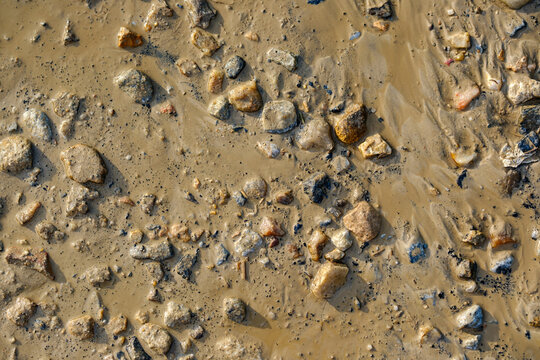 Wet muddy ground texture with scattered pebbles and gravel under sunlight, natural earth surface with fine sand and silt patterns
