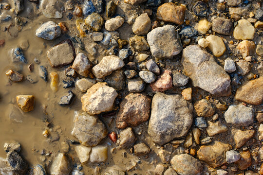 Dense cluster of wet pebbles and river rocks immersed in shallow muddy puddle water, close-up textured earth surface