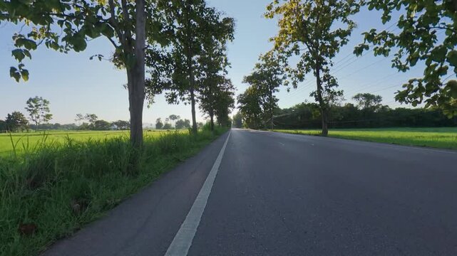 POV footage of a quiet rural road with warm sunlight shining through lush green trees, creating a peaceful countryside landscape and scenic travel atmosphere.