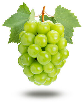 Sweet grape isolated on white, Shine Muscat Grape isolated on white background High resolution photography, With clipping path.