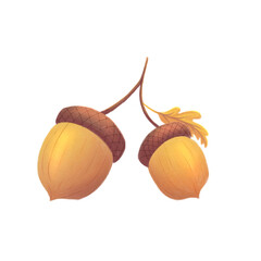 Pair of Golden Autumn Acorns with Oak Leaf Illustration Isolated on Transparent Background © frdid