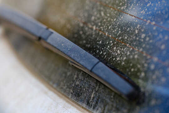 Close-up of a dirty car rear windshield covered in dried dust spots and rain stains with black rear wiper blade arm