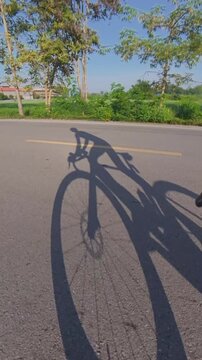 Vertical footage of a cyclist and bicycle shadow moving across a rural road beside green rice fields, with trees and warm sunlight creating a peaceful countryside scene.