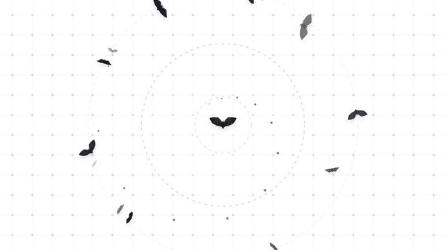 Minimalist motion graphics video clip featuring looping animated vector bats flying around concentric circles on white background