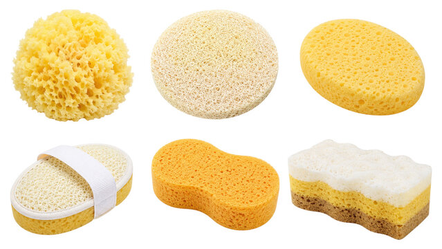 Assorted bath and cleaning sponges in various shapes, textures and yellow-beige tones for bathing, exfoliating and household cleaning