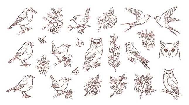 A collection of various birds and branches with berries, depicted in a charming, hand-drawn illustration style