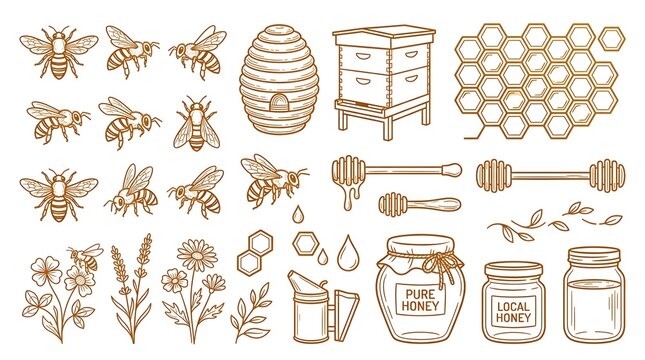 An illustration set of bees, beehive, honeycomb, honey jars, and flowers, depicting beekeeping and honey production.