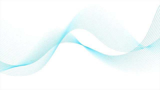 Blue flowing line waves on white background. Thin curves form dynamic pattern with modern technology aesthetic. Seamless loop abstract motion design. Video animation Ultra HD 4K 3840x2160