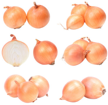 Set of onions