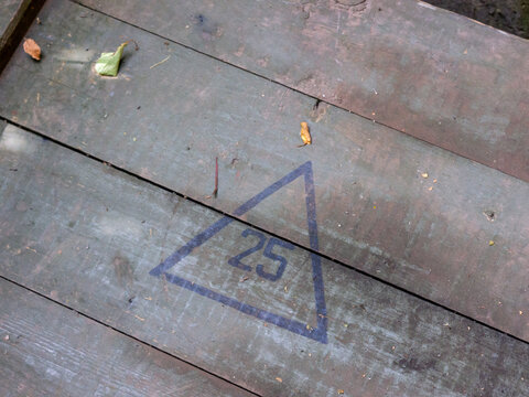 Close-up of a hand-painted number 25 inside a triangular outline on a weathered wooden surface, with rustic texture, faded paint, and scattered leaves. Outdoor background with a vintage, worn appearan