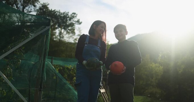 Mother and son holding organic pumpkins inside vegetable home garden during sunset time - Family people having fun during fall season - Autumn lifestyle concept - UGC content