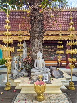 Stone Buddha statue and shrine in the Royal Palace of Cambodia in Phnom Penh