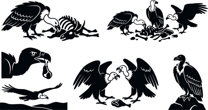  Vulture Bird Scavenger Silhouette Vector Icon Collection Eating Carrion Meat and Animal Carcass Bones for Wildlife Desert Nature and Halloween Designs