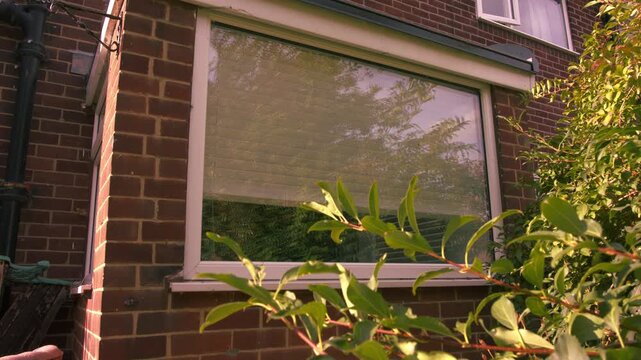 View of house window with blinds opening through view of trees