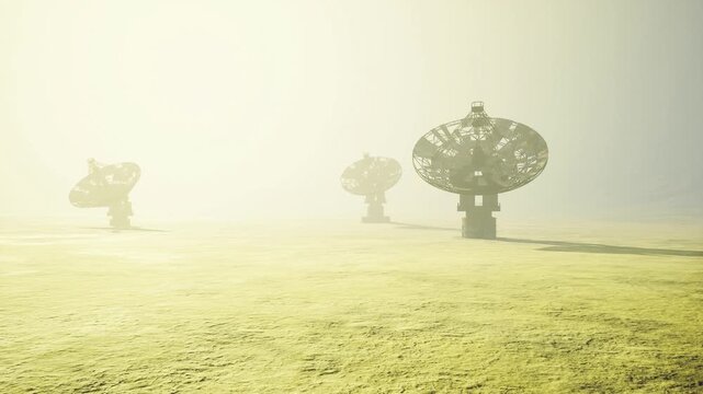 Meadow antennas bathing in soft sunrise light across dewcovered grass, three parabolic structures resembling trees, peaceful minimalist landscape with gentle