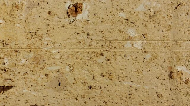 Light Beige Porous Masonry Surface Texture Pale beige masonry surface with pores, pits, scratches and irregular mineral detail, creating a bright weathered construction architectural texture.