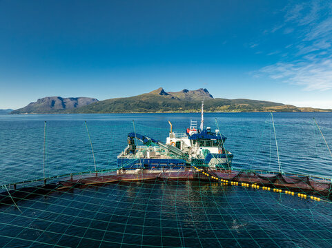 Aerial view of a salmon farm with a service vessel moored in the fjord, surrounded by mountains under a clear blue sky in Gratangen, Norway.