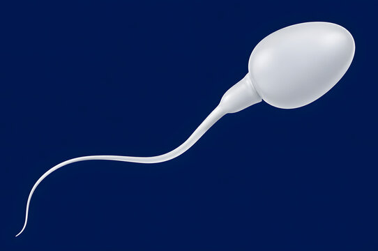 Single white human sperm cell isolated on a solid dark blue background
