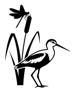 black and white vector silhouette: sandpiper bird near reeds with a perched dragonfly