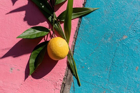 Orange and green leaves on a pink and blue textured wall