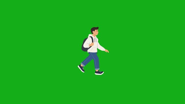 2D animated young man walking with a backpack on a green screen. Ideal for school, college, travel, and student lifestyle videos