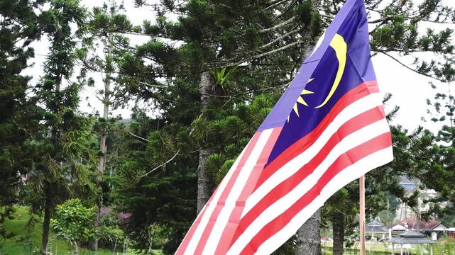 The Malaysian flag waves in the wind amidst a backdrop of lush green pine trees and distant structures