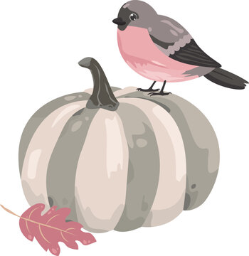 Cute vector illustration of a pink bird perched on a pastel green pumpkin. Perfect for fall and Thanksgiving designs. Seasonal harvest concept for cards and banners.