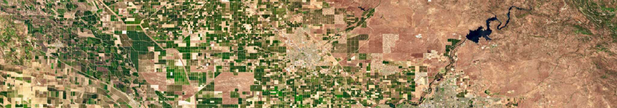Geometric Agricultural Field Patterns in California Satellite Image