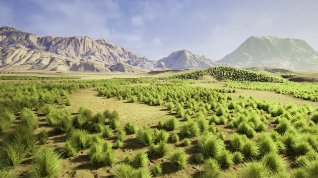 arid shrubland under clear sky with patchy vegetation and textured soil, useful for resilience case studies, soil testing, and field research protocols