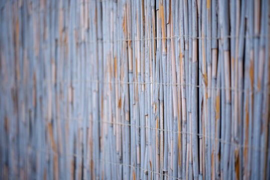 Natural reed fence texture with selective focus showing vertical dry bamboo stalks tied with wire in shallow depth