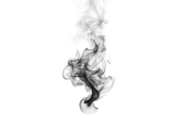Fototapeta premium Abstract black smoke plume isolated on pure transparent background, swirling dark vapor texture, ethereal smog graphic effect for design overlays